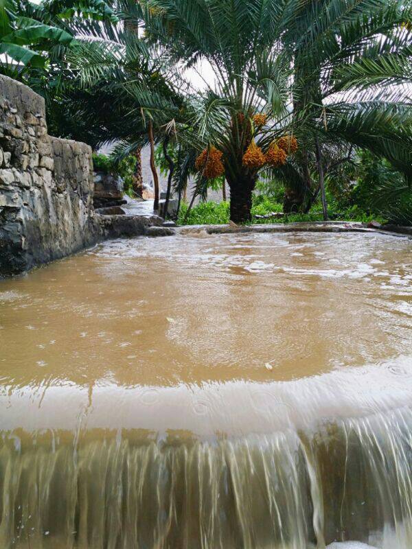 :	uploadfromtaptalk1404315733031.jpg
: 65
:	100.6 