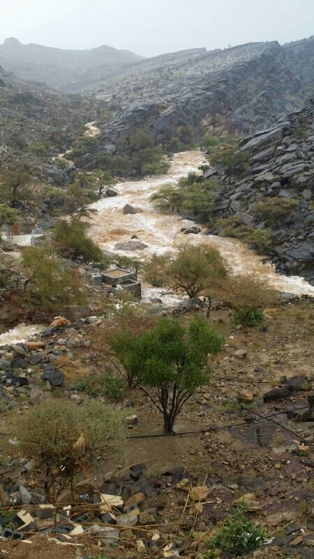 :	uploadfromtaptalk1404315896750.jpg
: 68
:	98.4 