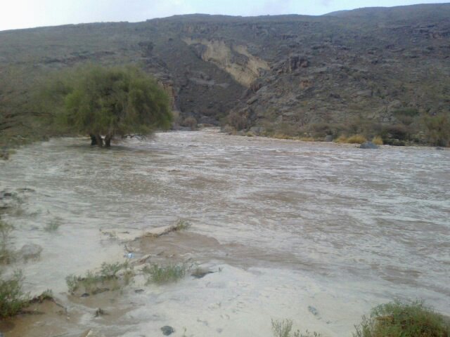 :	uploadfromtaptalk1404315985113.jpg
: 66
:	55.1 