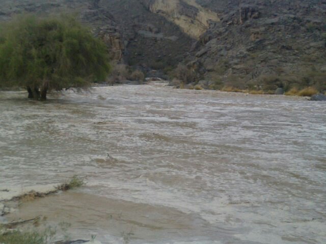 :	uploadfromtaptalk1404316002947.jpg
: 65
:	54.3 