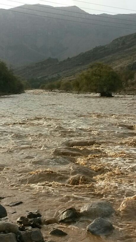     . 

:	uploadfromtaptalk1404316376923.jpg 
:	133 
:	85.8  
:	13489