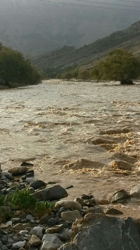     . 

:	uploadfromtaptalk1404316398080.jpg 
:	134 
:	84.9  
:	13490