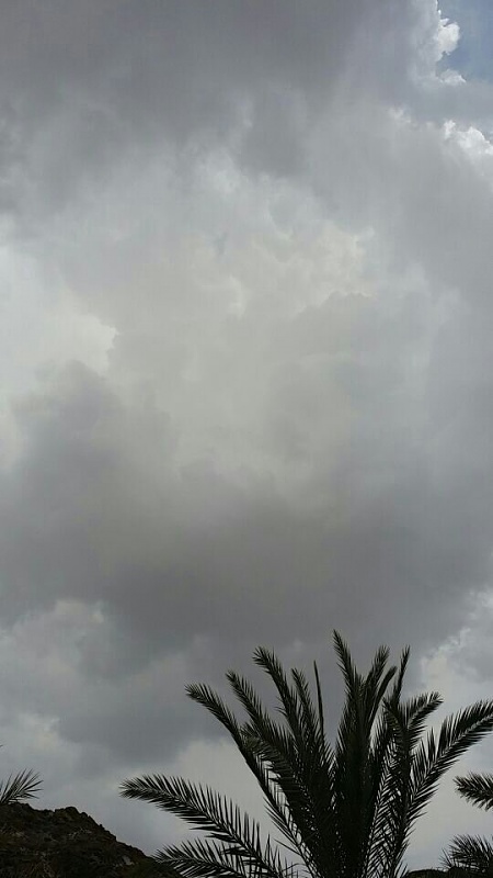     . 

:	uploadfromtaptalk1404418562799.jpg 
:	131 
:	48.8  
:	13504