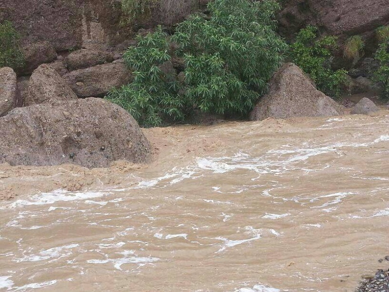 ���� ��� ������ ���� ����.&nbsp;

�����:	uploadfromtaptalk1404419691551.jpg&nbsp;
�������:	126&nbsp;
�����:	100.4 ��������&nbsp;
������:	13527