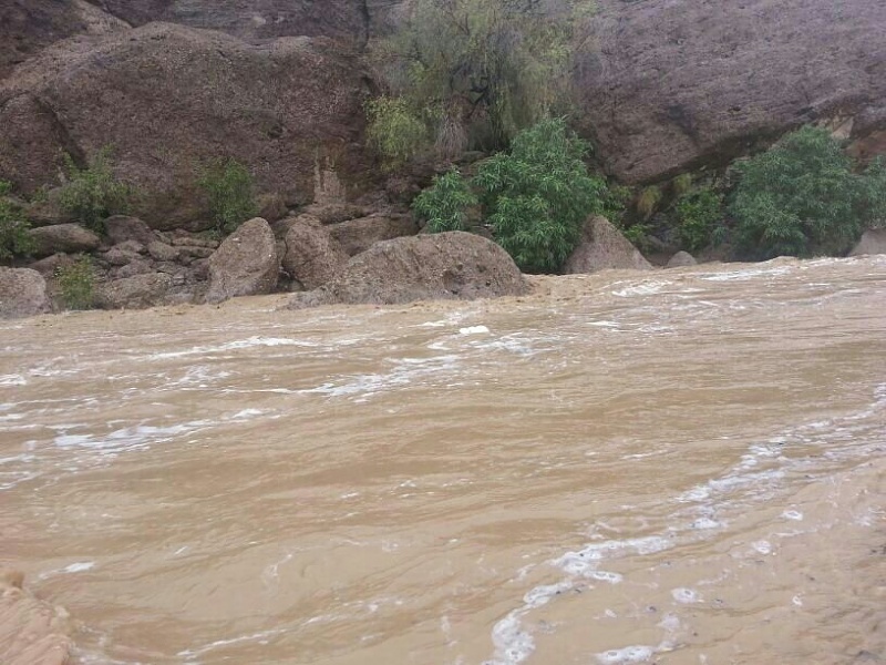 ���� ��� ������ ���� ����.&nbsp;

�����:	uploadfromtaptalk1404419702302.jpg&nbsp;
�������:	126&nbsp;
�����:	102.6 ��������&nbsp;
������:	13528