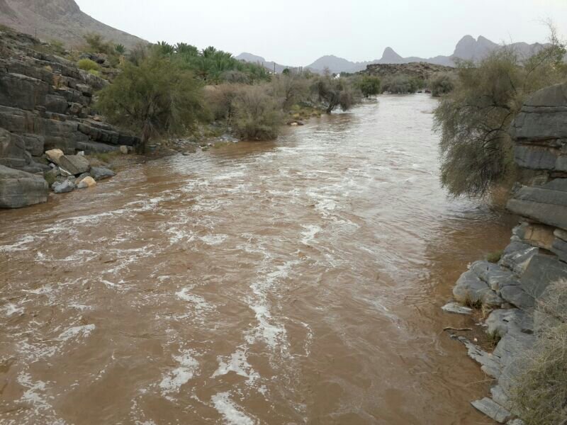 ��������:	uploadfromtaptalk1404419769716.jpg
���������: 70
��������:	98.6 ��������