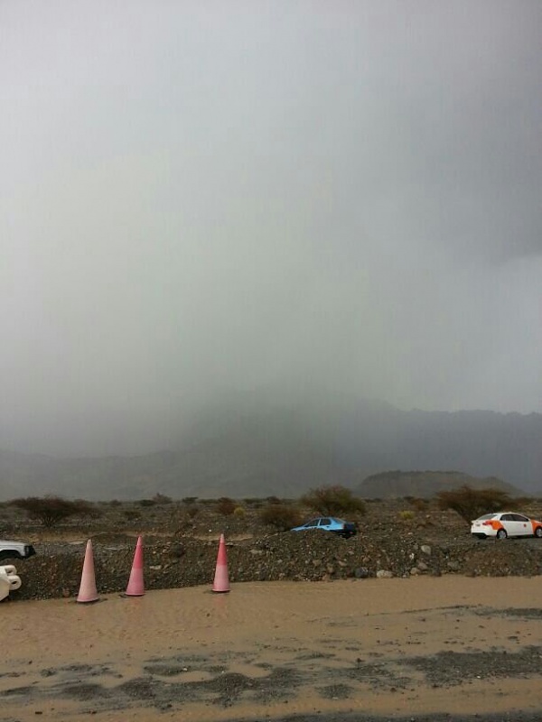     . 

:	uploadfromtaptalk1404420364634.jpg 
:	76 
:	43.5  
:	13542