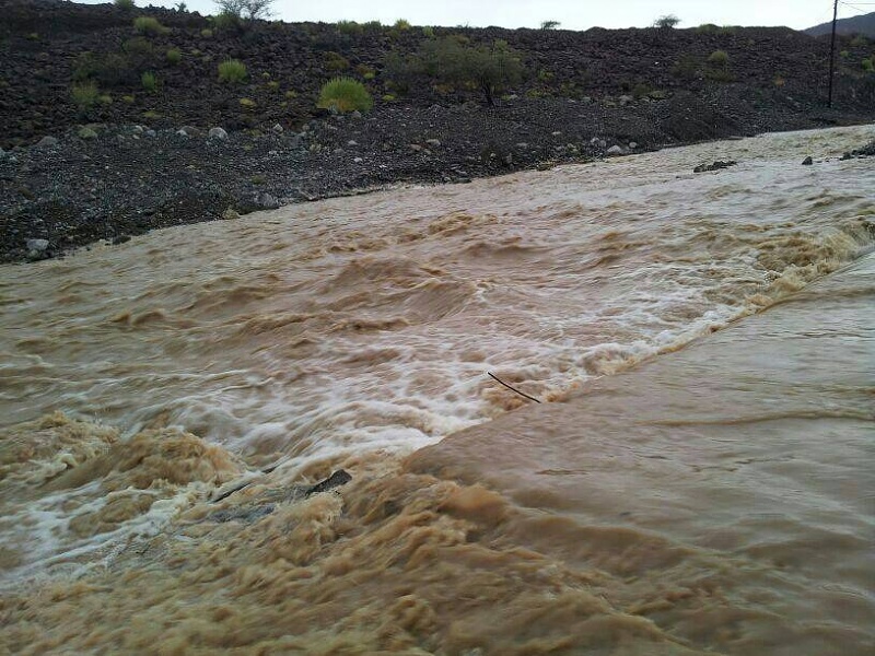     . 

:	uploadfromtaptalk1404420523133.jpg 
:	80 
:	90.6  
:	13548