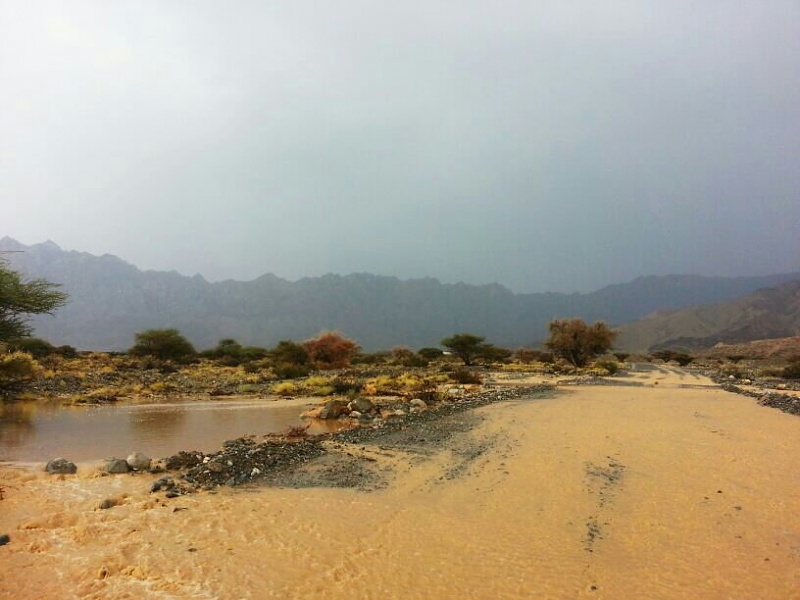     . 

:	uploadfromtaptalk1404420899098.jpg 
:	84 
:	61.1  
:	13558