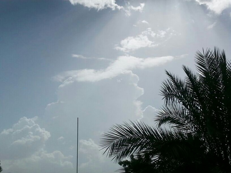     . 

:	uploadfromtaptalk1404474666116.jpg 
:	103 
:	68.6  
:	13633