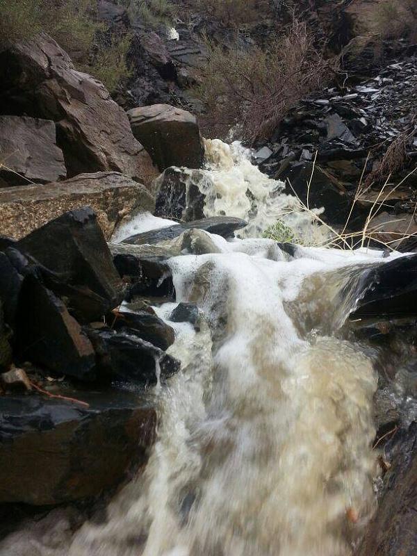     . 

:	uploadfromtaptalk1404475052391.jpg 
:	100 
:	88.4  
:	13637
