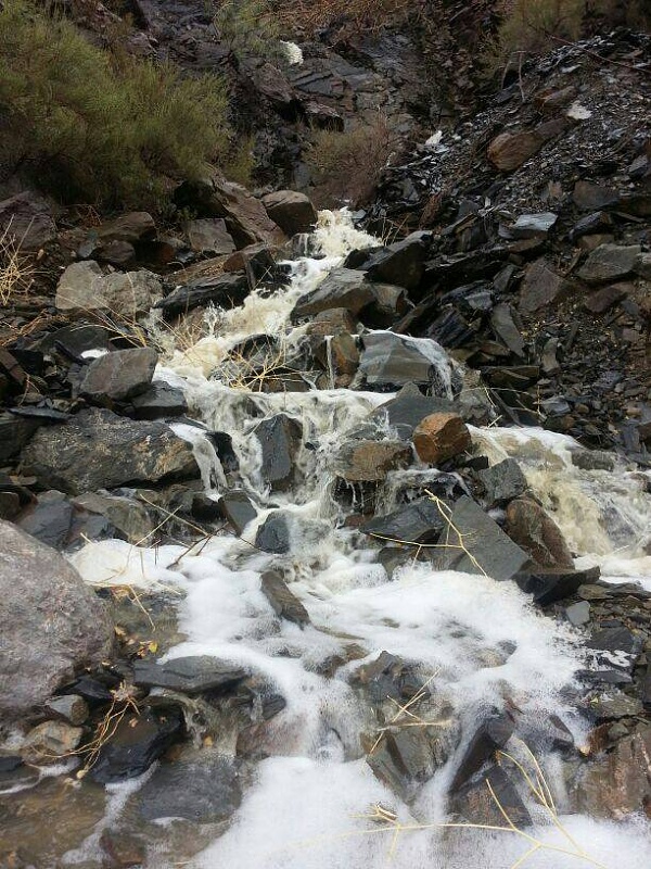     . 

:	uploadfromtaptalk1404475064735.jpg 
:	108 
:	115.6  
:	13638