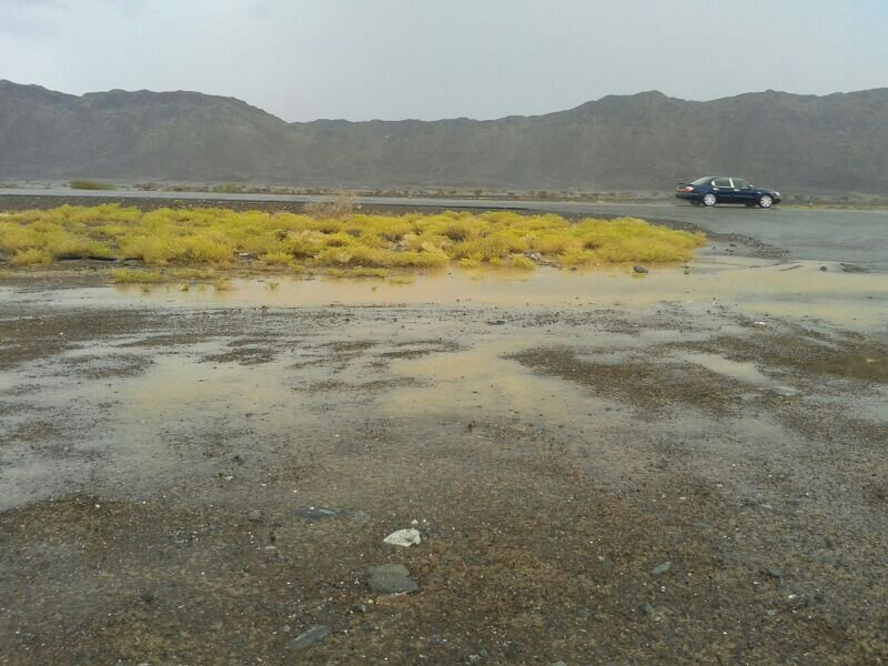 :	uploadfromtaptalk1404475227047.jpg
: 51
:	95.3 