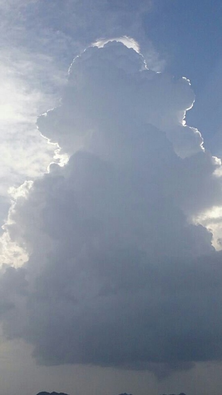     . 

:	uploadfromtaptalk1404480155470.jpg 
:	103 
:	34.7  
:	13706
