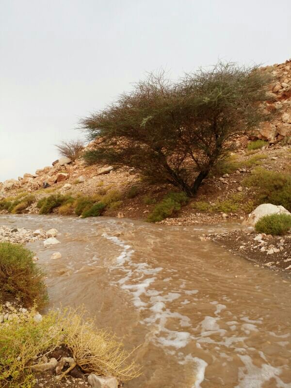 :	uploadfromtaptalk1404566329570.jpg
: 49
:	104.4 