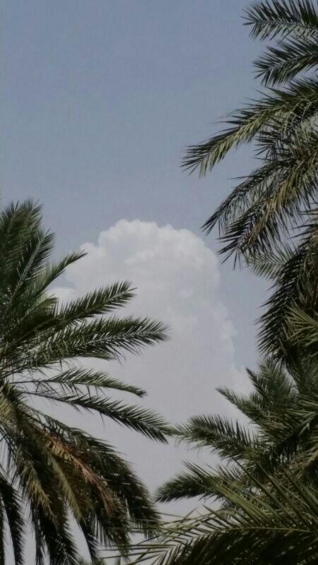 :	uploadfromtaptalk1404638670370.jpg
: 79
:	64.0 