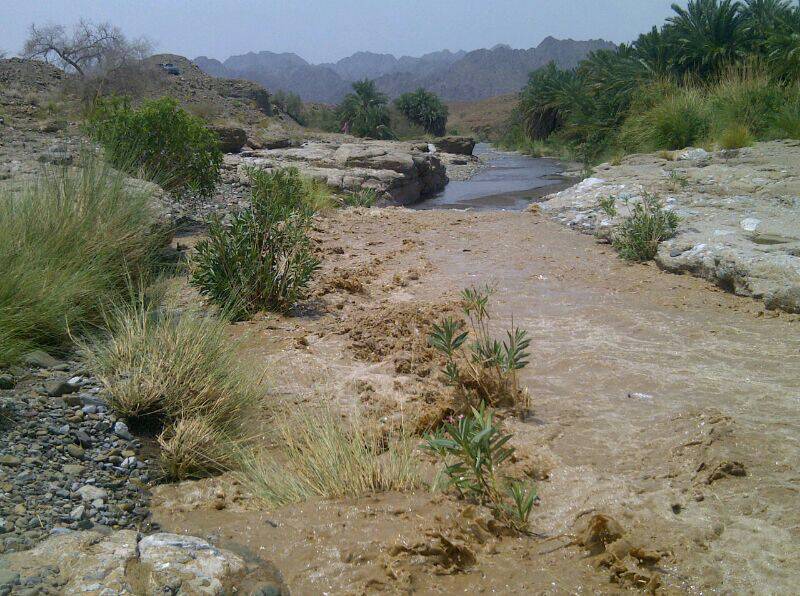 :	uploadfromtaptalk1404640940930.jpg
: 70
:	111.9 