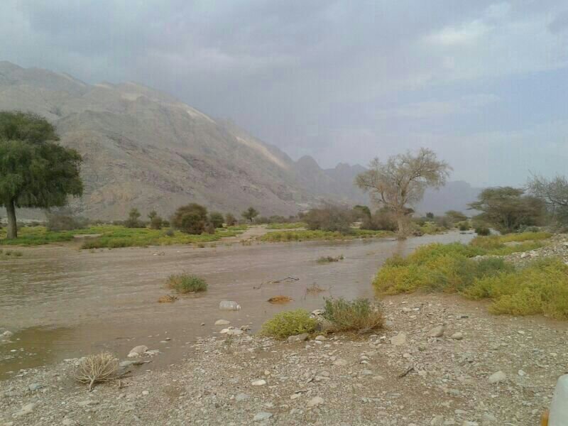 :	uploadfromtaptalk1404656537612.jpg
: 48
:	78.0 