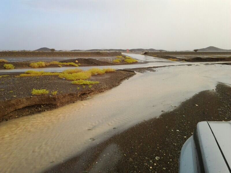 :	uploadfromtaptalk1404676512236.jpg
: 52
:	66.8 