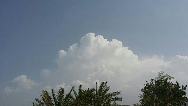     . 

:	uploadfromtaptalk1404732910421.jpg 
:	106 
:	48.7  
:	14136