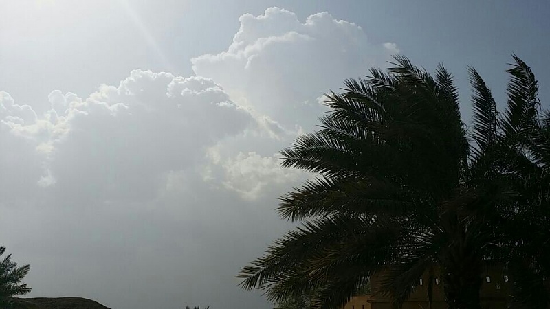     . 

:	uploadfromtaptalk1404732915901.jpg 
:	107 
:	63.7  
:	14137