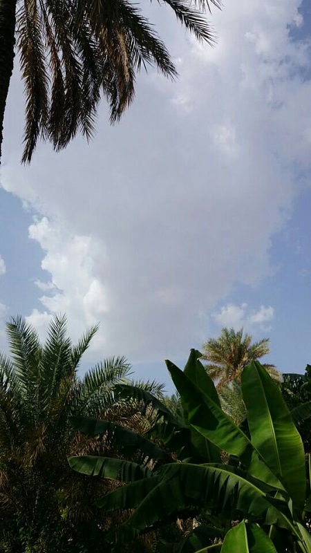     . 

:	uploadfromtaptalk1404735149965.jpg 
:	118 
:	88.5  
:	14147