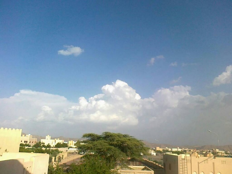     . 

:	uploadfromtaptalk1404740555001.jpg 
:	114 
:	51.8  
:	14162