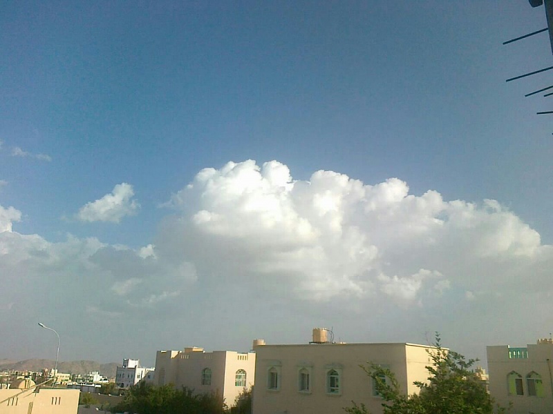     . 

:	uploadfromtaptalk1404740561149.jpg 
:	115 
:	92.5  
:	14163