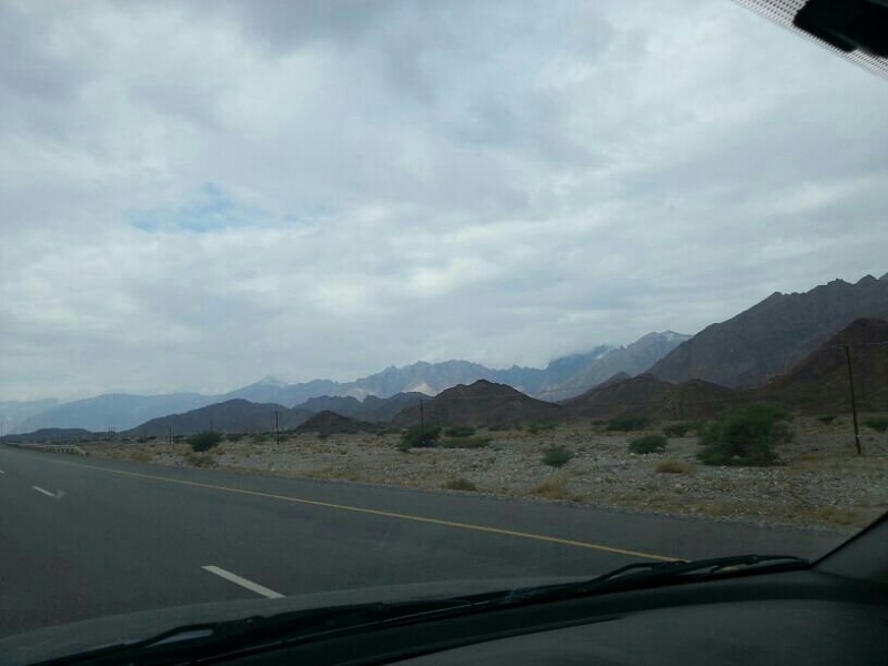     . 

:	uploadfromtaptalk1354516130340.jpg 
:	100 
:	42.8  
:	1419