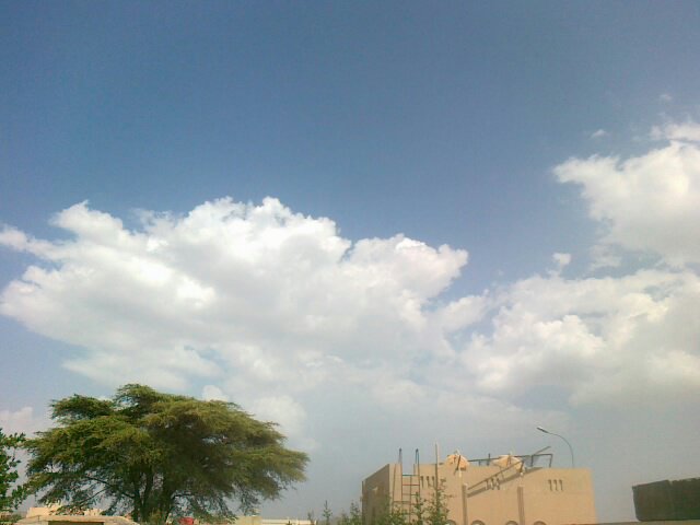 :	uploadfromtaptalk1404814464214.jpg
: 57
:	35.6 