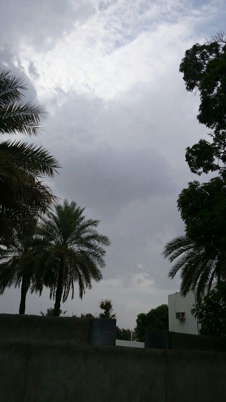     . 

:	uploadfromtaptalk1404910185477.jpg 
:	90 
:	71.6  
:	14323
