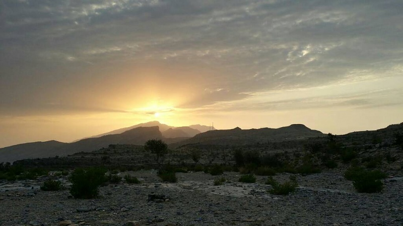     . 

:	uploadfromtaptalk1404916965101.jpg 
:	85 
:	49.5  
:	14330