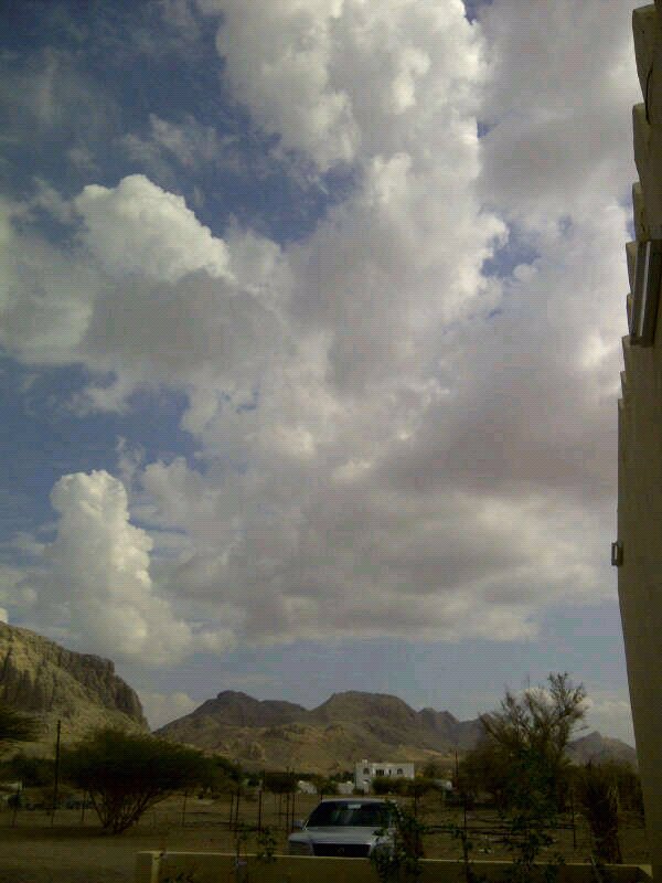 :	uploadfromtaptalk1354523567384.jpg
: 64
:	93.5 