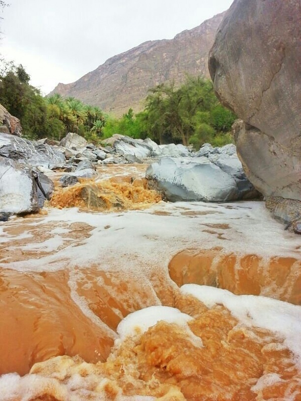     . 

:	uploadfromtaptalk1405007620341.jpg 
:	93 
:	102.6  
:	14375