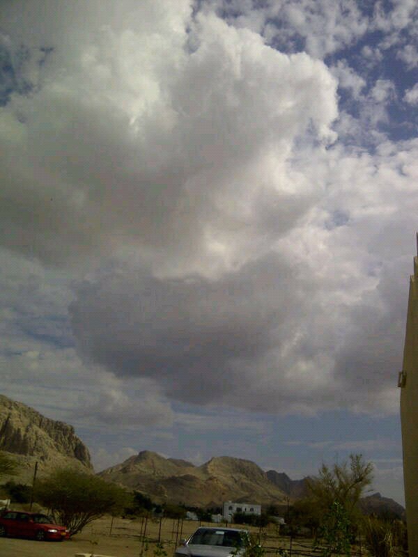 :	uploadfromtaptalk1354523993081.jpg
: 55
:	92.3 