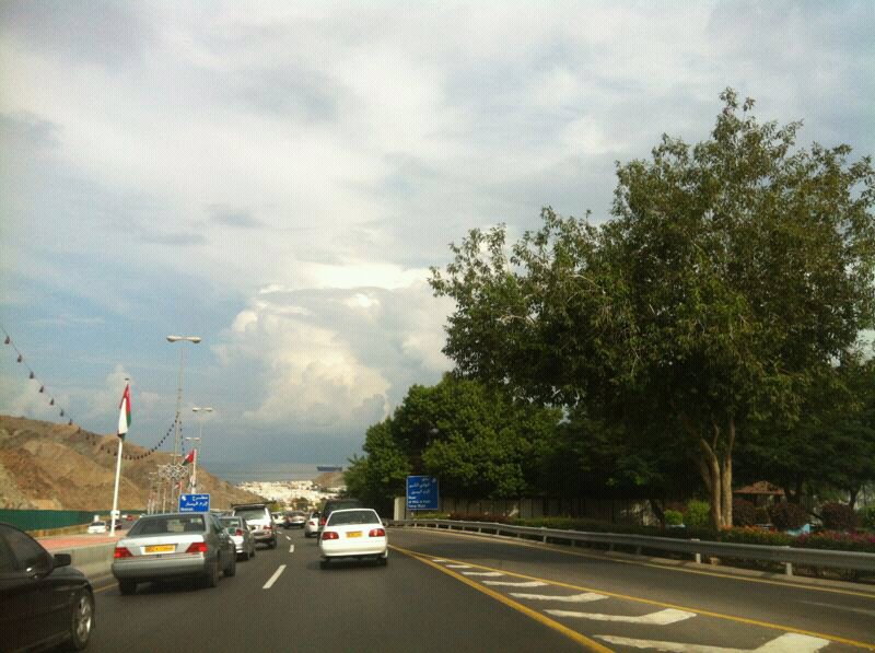 :	uploadfromtaptalk1354524045726.jpg
: 62
:	112.9 
