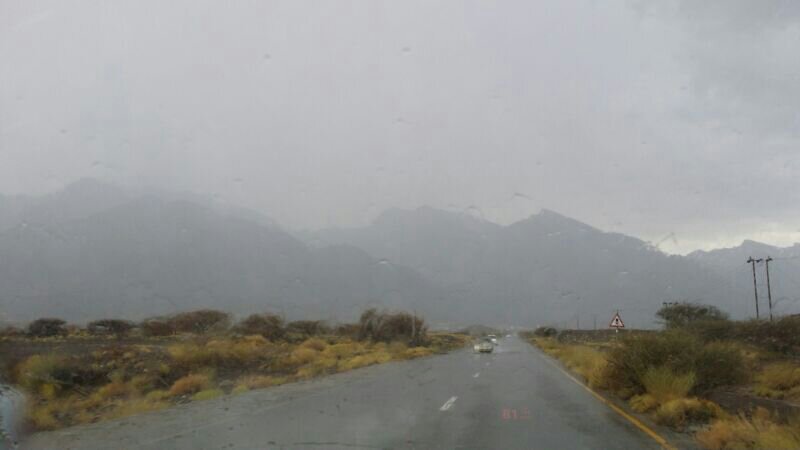 ��������:	uploadfromtaptalk1405093544859.jpg
���������: 99
��������:	26.3 ��������