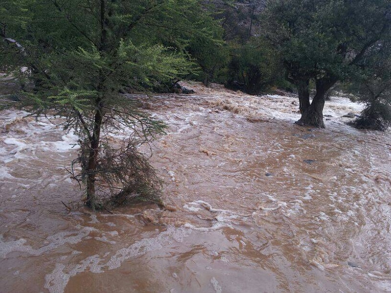 ���� ��� ������ ���� ����.&nbsp;

�����:	uploadfromtaptalk1405093718480.jpg&nbsp;
�������:	113&nbsp;
�����:	110.7 ��������&nbsp;
������:	14511