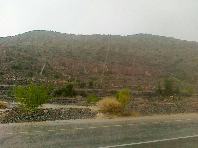 ���� ��� ������ ���� ����.&nbsp;

�����:	uploadfromtaptalk1405093739368.jpg&nbsp;
�������:	119&nbsp;
�����:	72.5 ��������&nbsp;
������:	14512