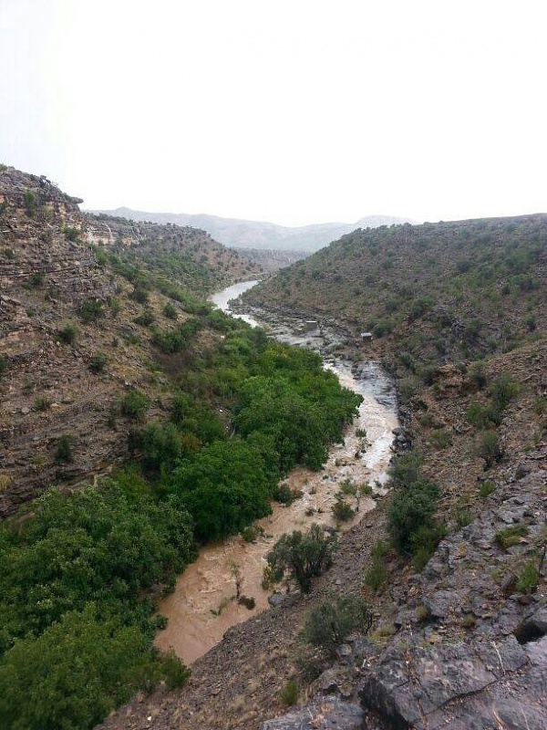 ���� ��� ������ ���� ����.&nbsp;

�����:	uploadfromtaptalk1405093757346.jpg&nbsp;
�������:	107&nbsp;
�����:	88.9 ��������&nbsp;
������:	14513