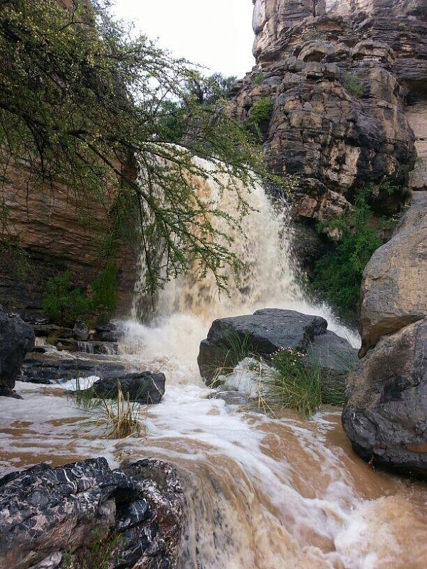 ���� ��� ������ ���� ����.&nbsp;

�����:	uploadfromtaptalk1405093802827.jpg&nbsp;
�������:	110&nbsp;
�����:	126.9 ��������&nbsp;
������:	14514