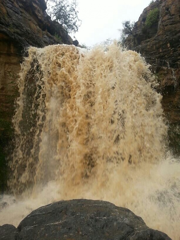 ���� ��� ������ ���� ����.&nbsp;

�����:	uploadfromtaptalk1405093821842.jpg&nbsp;
�������:	109&nbsp;
�����:	93.8 ��������&nbsp;
������:	14515