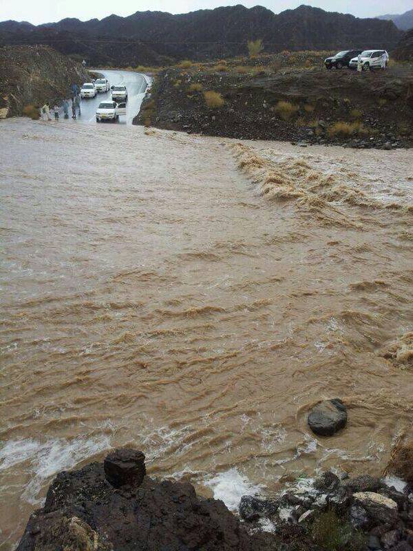 ��������:	uploadfromtaptalk1405093913063.jpg
���������: 96
��������:	99.2 ��������