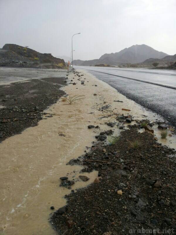 ��������:	uploadfromtaptalk1405095503859.jpg
���������: 116
��������:	59.5 ��������