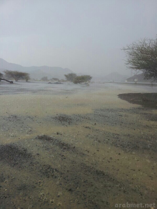 ��������:	uploadfromtaptalk1405095514857.jpg
���������: 116
��������:	66.5 ��������