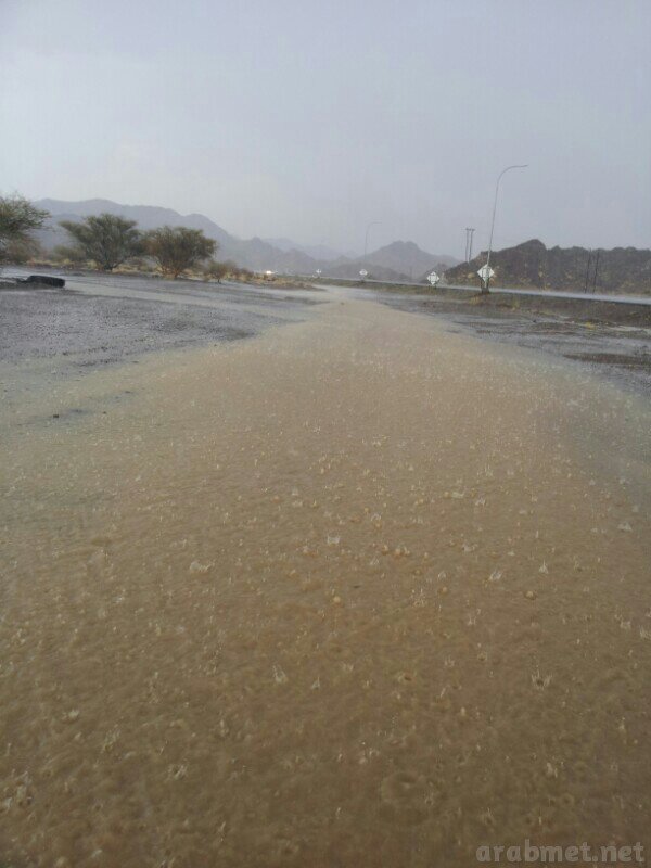 ��������:	uploadfromtaptalk1405095554997.jpg
���������: 102
��������:	62.1 ��������