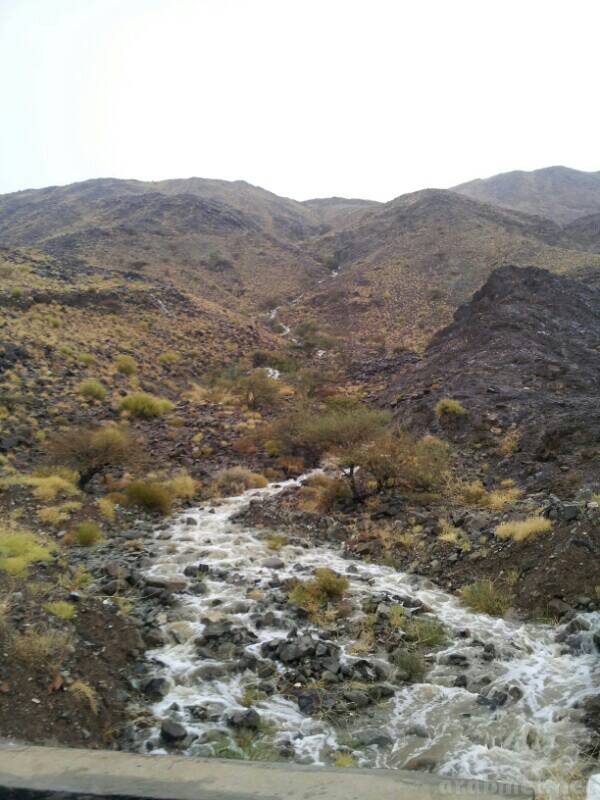 ��������:	uploadfromtaptalk1405095565722.jpg
���������: 112
��������:	70.6 ��������