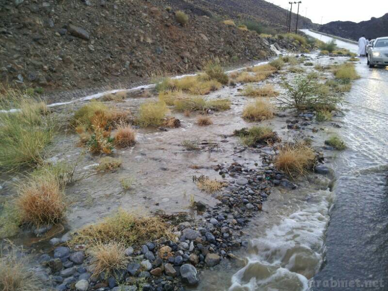 ��������:	uploadfromtaptalk1405095634059.jpg
���������: 107
��������:	90.7 ��������