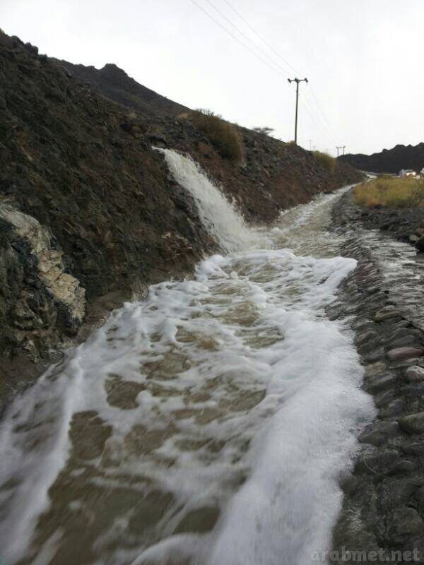 ��������:	uploadfromtaptalk1405095641119.jpg
���������: 107
��������:	52.1 ��������