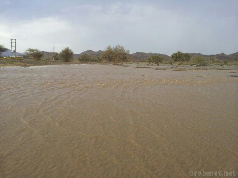 ��������:	uploadfromtaptalk1405095647037.jpg
���������: 105
��������:	59.3 ��������